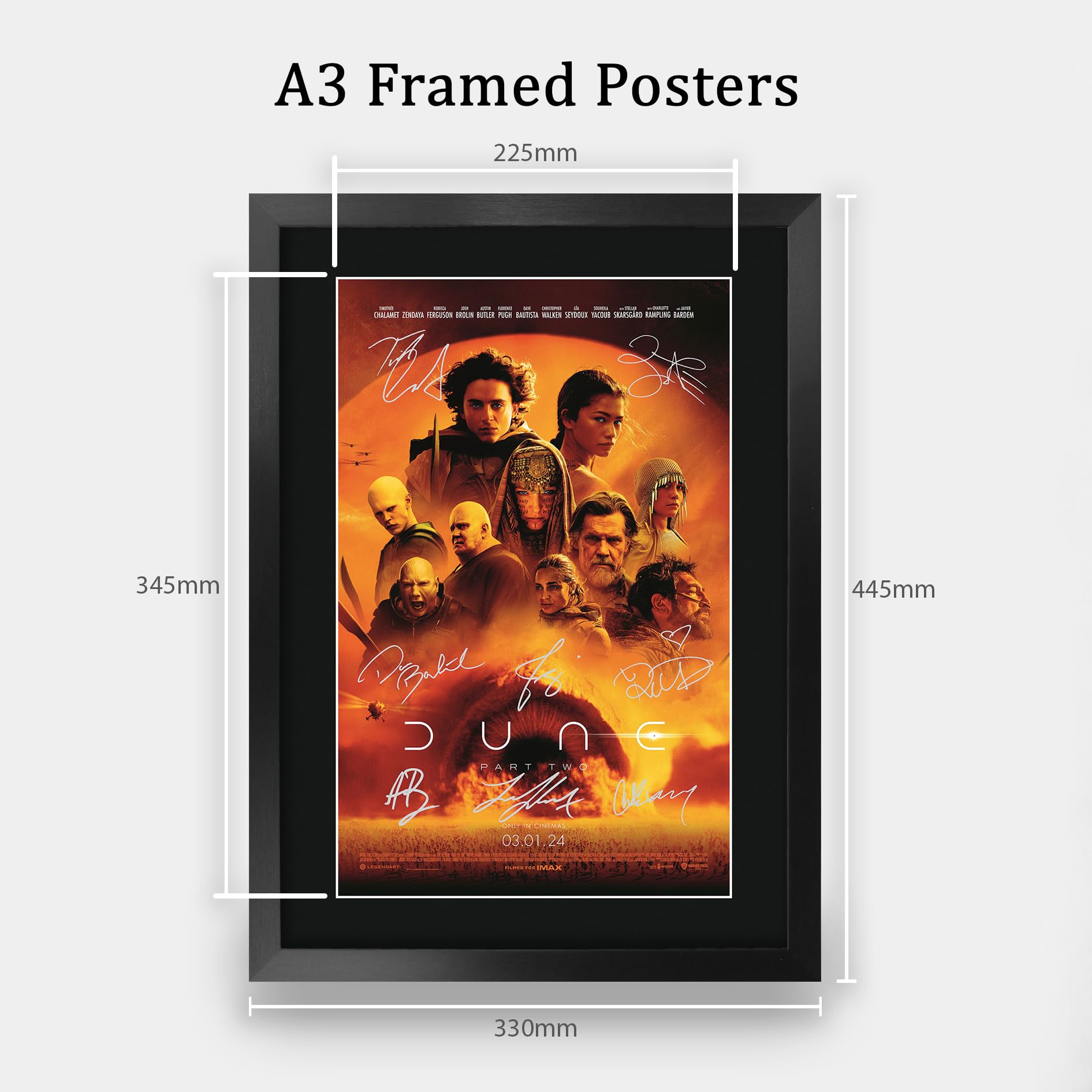 Amazon.com: HWC Trading Dune Part 2 2024 Timothee Chalamet Gifts